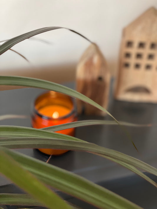 Tallow Candle